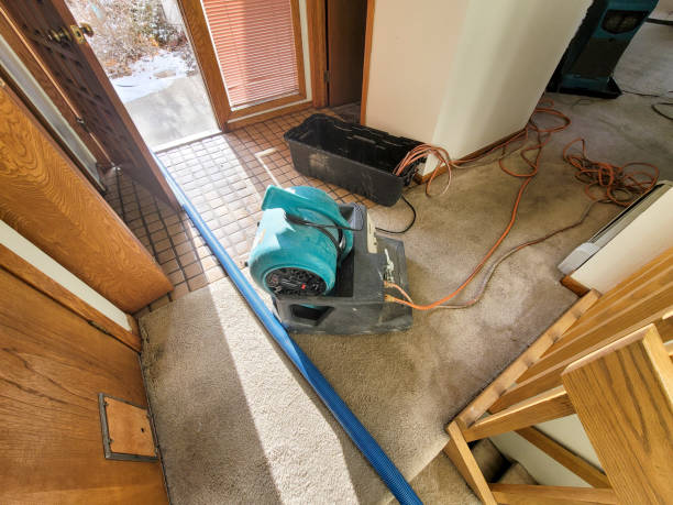 Best Water damage cleanup near me  in Santa Clara, UT