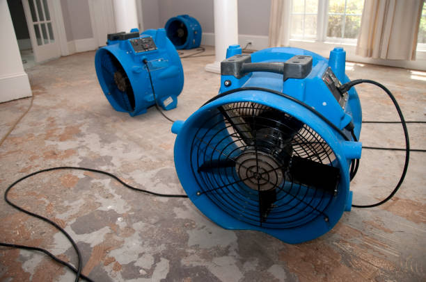 Best 24/7 water damage repair  in Santa Clara, UT