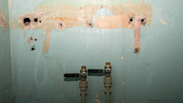 Best Professional water damage repair  in Santa Clara, UT
