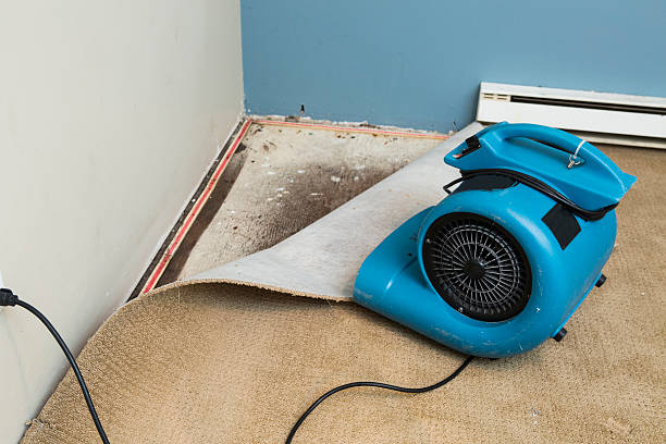 Best Water damage restoration company  in Santa Clara, UT